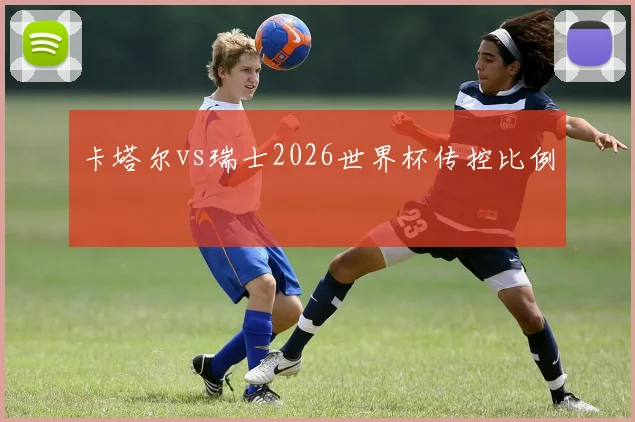 卡塔尔vs瑞士2026世界杯传控比例